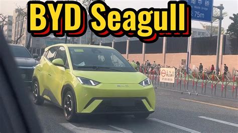 BYD Seagull Leaked Under For Km YouTube