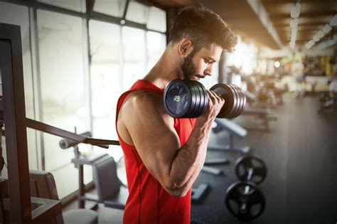 Biceps Triceps Les Meilleurs Exercices Pour Se Muscler Les Bras