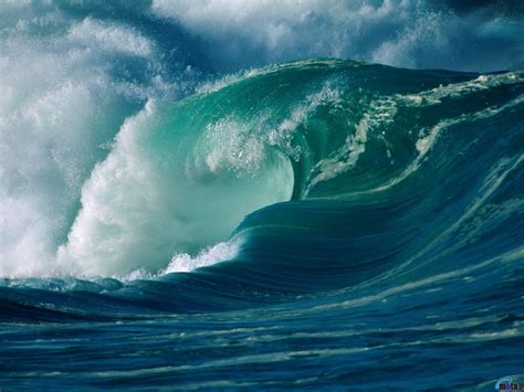 Free Download Download Wallpaper Roaring Waves Winter Surf Oahu