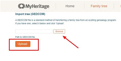 Discover Your Ancestors With Myheritage Are You My Cousin