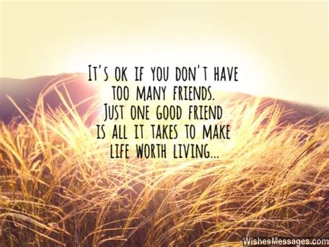 I guess it's true what they say that birds of the same feather flock our kind of friendship is something that i'm very proud of. Thank You Messages for Friends: Quotes and Notes | True ...