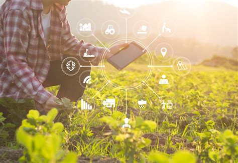 Características Da Agricultura Moderna