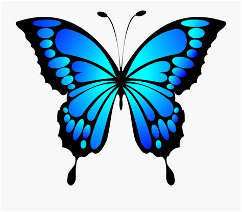 Blue Butterfly Images Clip Art Clipart Collection