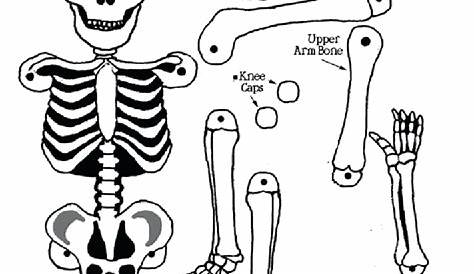 skeleton printables