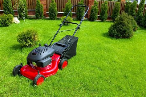 Best Self Propelled Lawn Mowers In 2022 Shelf