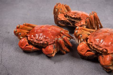 Steamed Chinese Mitten Crab Or Shanghai Hairy Crabs Stock Image Image Of Cooking Autumn