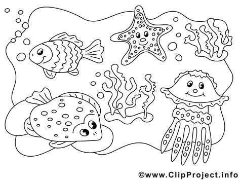 Animaux Marin Illustration à Colorier Clipart Divers Pages à Colorier