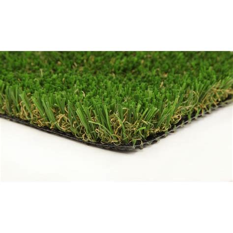 Pet proof carpet from home depot is a solid competitor when it comes to pet friendly carpeting for homes. GREENLINE Pet/Sport 60 Artificial Grass Synthetic Lawn ...