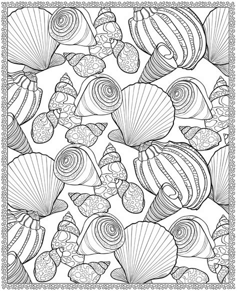 Seashell Coloring Pages
