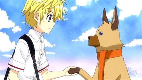 Top 50 Best Anime Dogs Most Popular Of All Time