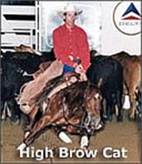 Charmed cat (high brow cat x charmed for sure) ncha $$ earner, finalist at abilene 2012, southern derby 2011, made the. MPQH Mastersons Cat: - -M- Performance Quarter Horses