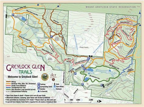 Greylock Glen Birding Hotspots