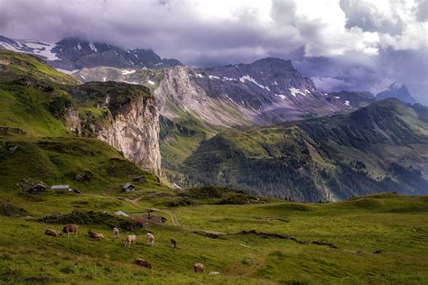 Summer Evening In The Swiss Alps By Irca Caplikas On 500px Swiss Alps
