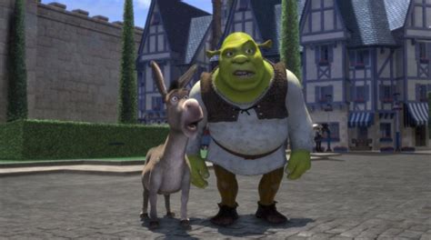 Shrek Donkey Confused Toia Barry