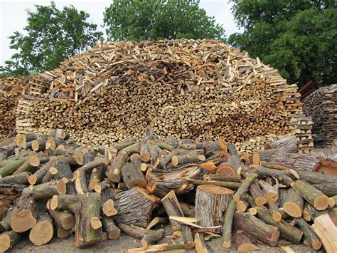 Impressive Giant Wood Pile Photograph By Donna Wilson