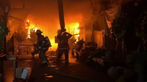 Incendio En El Mercado De Flores Del Rímac Destruyó 160 Puestos Y Dejó Cuantiosas Pérdidas Infobae