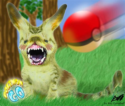 Pokemon Go Catching Pikachu One Throw Pokeball Koy By Nm8r Kjc On