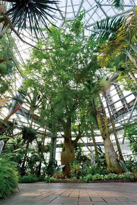 赤塚植物園の希少植物保存温室へ行こう | WEB BOSCO