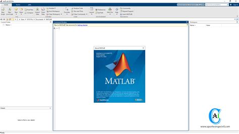 Mathworks Matlab R2022b V913