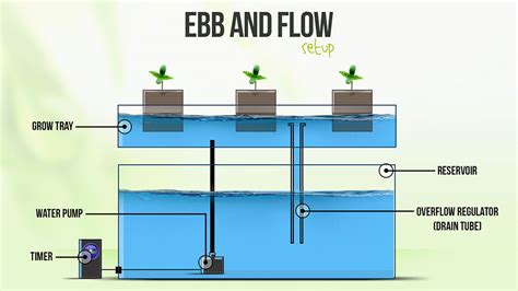 Ebb and flow hydroponics aquaponics diy. How to Make a DIY Ebb and Flow Hydroponic System (5 Steps)