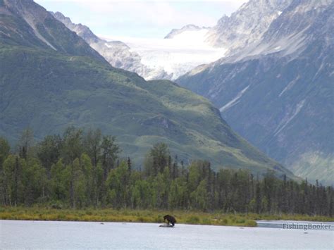 Alaska halibut fishing deep creek ninilchik and rd salmon lingcod. Alaskan Gamefisher (Anchor Point) - Updated 2020 Prices ...