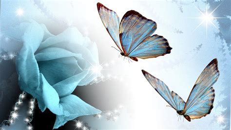 Blue Butterfly Desktop Wallpapers Top Hình Ảnh Đẹp