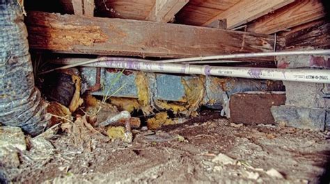 SOUTHEAST FOUNDATION AND CRAWL SPACE REPAIR Photos Reviews Southwest Blvd