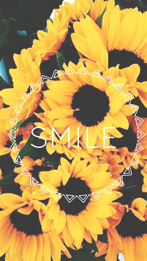 Really Aesthetic Wallpapers Cute Aesthetic Sunflower Wallpapers Nawpic