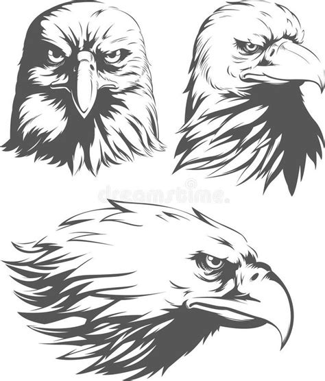 Silhouette Eagle Head Falcon Front Sideview Set Isolated Vector Logo
