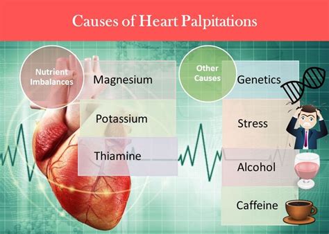How your diet can cause palpitations and how you can correct this to get results in as little as 24 hours. 28 best images about Heart valve disease on Pinterest ...