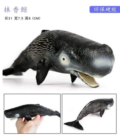 Simulation Blue Whale Toy Sperm Whale Gray Whale Humpback Whale Shark