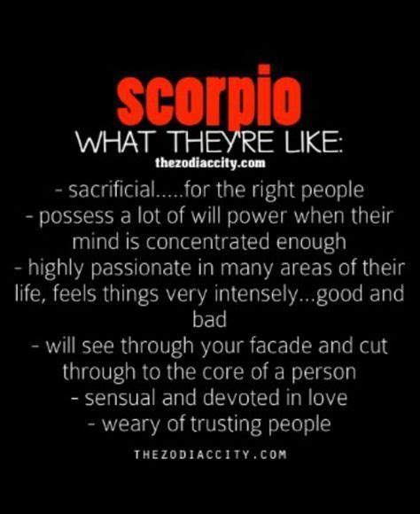 Scorpio What Theyre Like Zodiac Quotes Scorpio Scorpio Scorpio