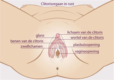 Finger Vagina Phallus Unter Einem Wasserstrahl Auf Der Klitoris Telegraph