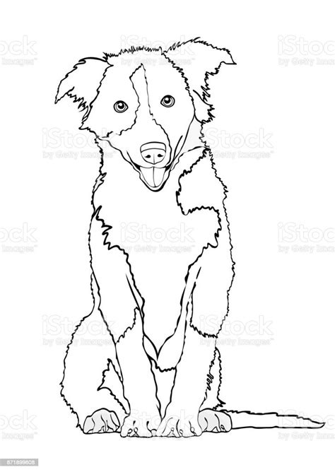 Dog Vector Outline Drawing Sketch Coloring Book Black And White Contour