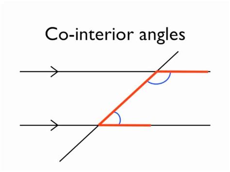 Alternate Interior Angles In Hindi Two Birds Home