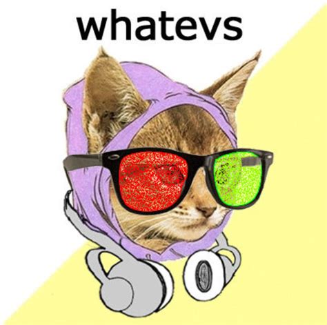 Image 42124 Hipster Kitty Know Your Meme