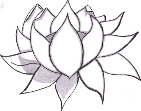 Most of all, it takes today we are showcasing some mesmerizing pencil drawings that will take your heart away. Simple rose drawings easy unique drawings of a flower selo ...