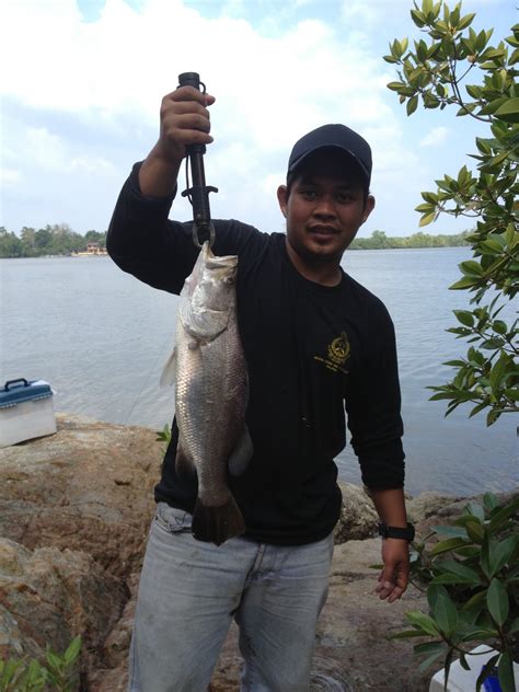 Selamat mencoba usahakan umpan di buat dalam pulungan besar tiap ingin di umpankan agar yang kita nanti adalah babon bukan ikan rame,seukuran jempol tangan minimal max jempol kaki. ahfgarciaX Fishing Team: Tips Memancing Siakap