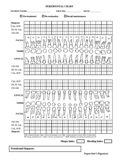 Printable Periodontal Charting Forms Printable Forms Free Online