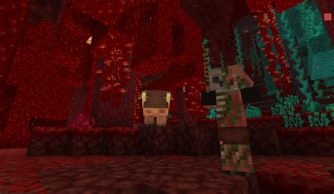 All Minecraft Nether Biomes Pro Game Guides
