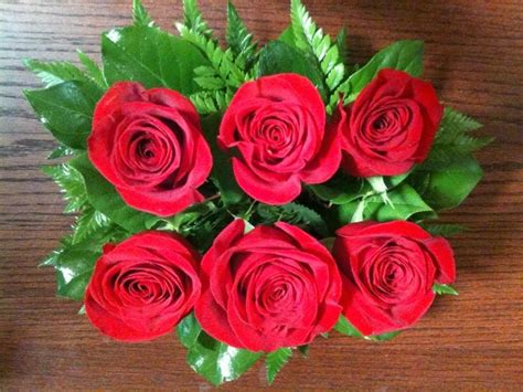 20 Gambar Foto Bunga Mawar Merah