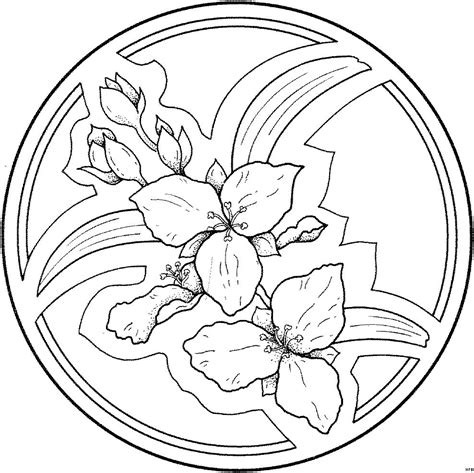 Mandalas Para Pintar: mandalas para colorear