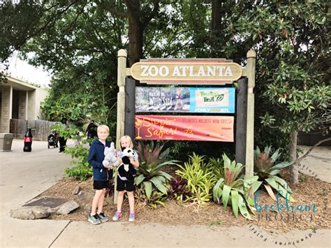 5 Things We Love About Zoo Atlanta The Beckham Project