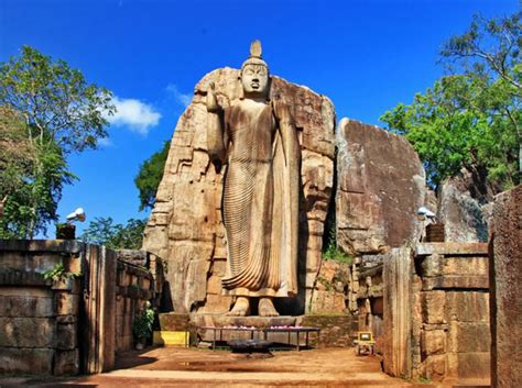 Avukana Buddha Statue Sri Lanka Avukana Buddha Statue