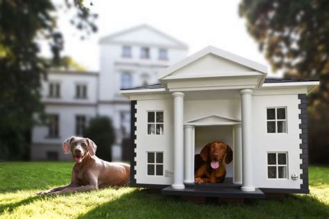 Frequently asked questions or concerns: The Ultimate Luxurious Dog Houses