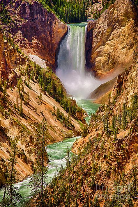 Yellowstone falls consist of two major waterfalls on the yellowstone river, within yellowstone national park, wyoming, united states. Lower Yellowstone Falls Photograph by Priscilla Burgers