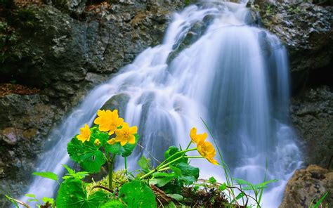 Waterfall Nature Wallpapers Top Free Waterfall Nature Backgrounds