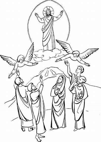 Ascensione Di Gesù 16 829×1163 Católico Desenhos Igreja