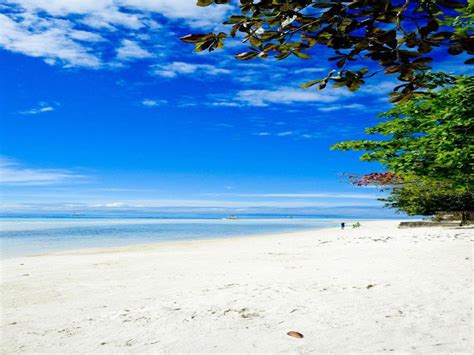 Dubay Panglao Beachfront Resort In Bohol Room Deals Photos And Reviews