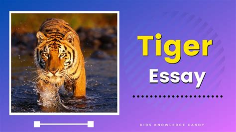 Essay On Tiger In English Short Essay On Tiger In English Tiger